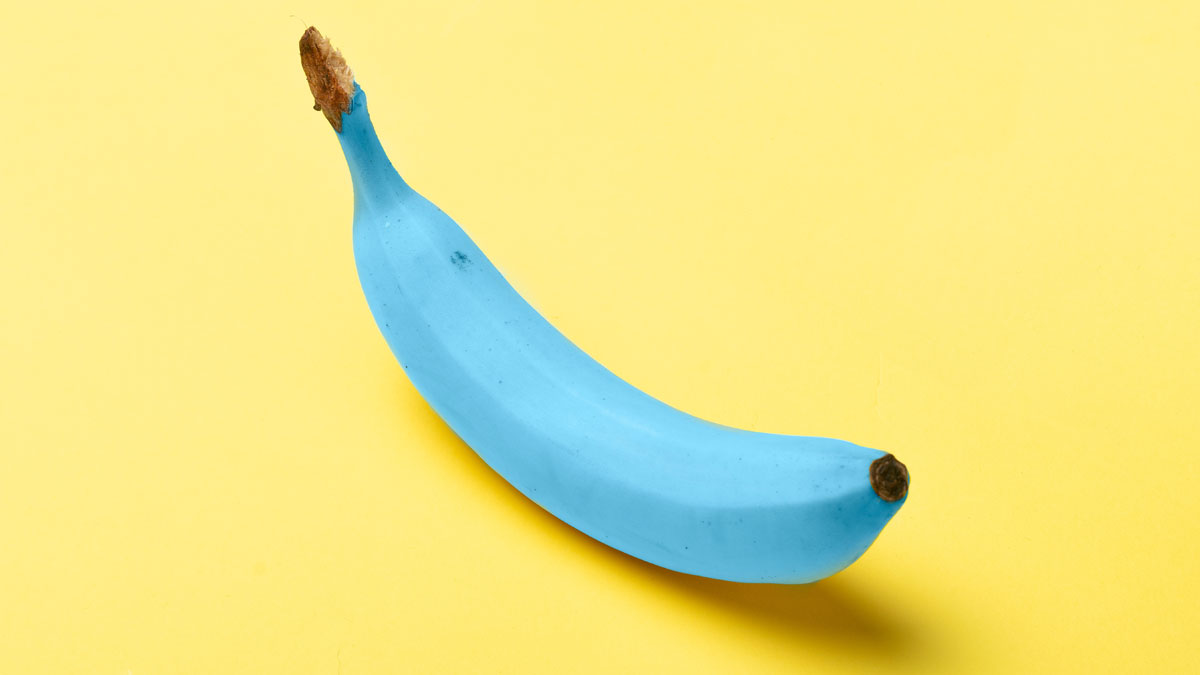 Java-Banane: Die blaue Banane, die nach Vanilleeis schmeckt