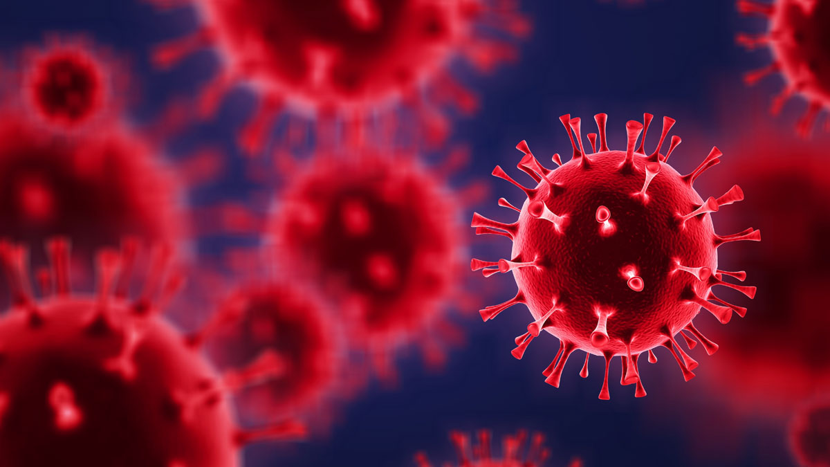 Die 10 tödlichsten Viren der Welt